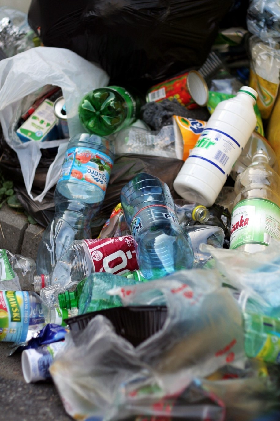 Badanie jednoznacznie pokazuje krytyczny stosunek mieszkańców śląskiego do śmieciowej reformy /Maciej Nycz /Archiwum RMF FM