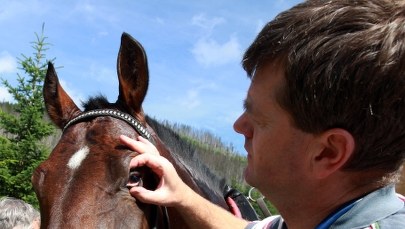 Badanie koni w Morskim Oku