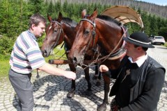 Badanie koni w Morskim Oku