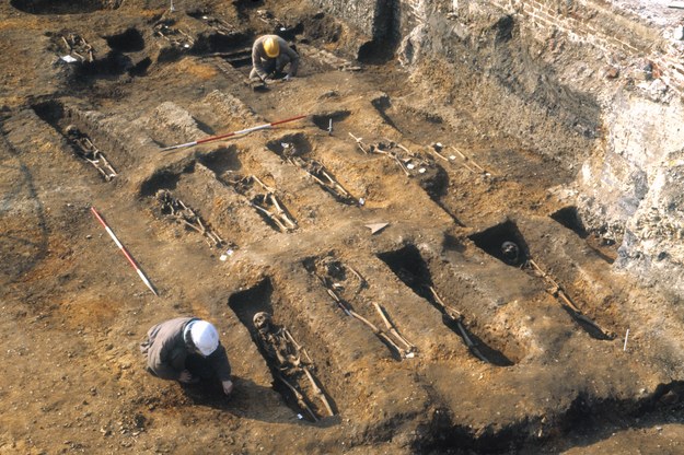 Badano DNA pobrane z zębów osób pochowanych w East Smithfield w latach 1348 i 1349. /Museum of London Archaeology (MOLA) /Materiały prasowe