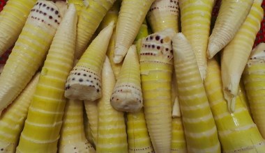 Багаті на клітковину, низькокалорійні та корисні для серця. Проте нечасті на столах 