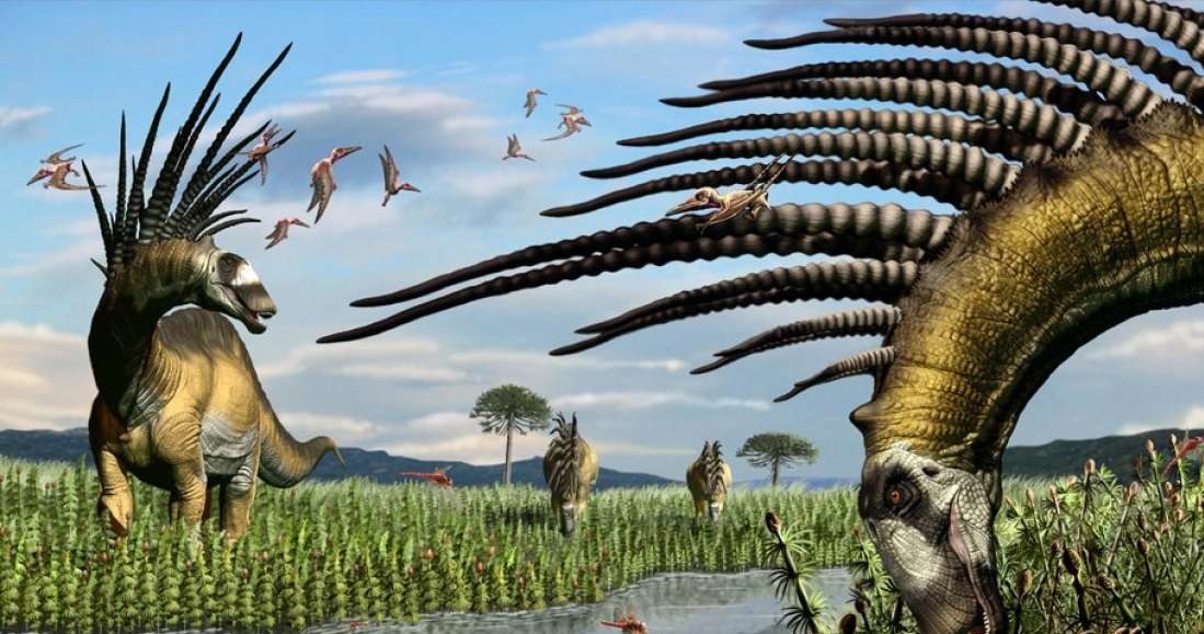 Bajadasaurus pronuspinax /materiały prasowe