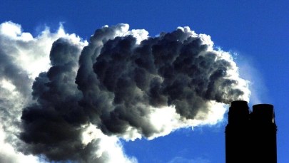 Bakteria pomoże w walce z ociepleniem klimatu?