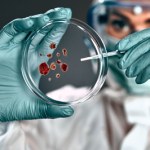 kurkuma Bakterie bez szans. Naukowcy odkrywają sposób na unieszkodliwienie MRSA