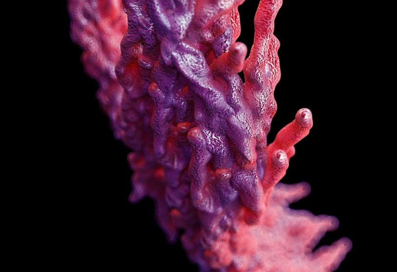 Bakterie gruźlicy wyglądają jak obce formy życia /123RF/PICSEL