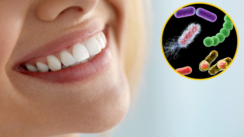 Bakterie i grzyby łączą siły tworząc "superorganizm", który powoduje próchnicę zębów /123RF/PICSEL
