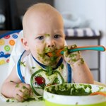 Bakterie jelitowe kształtują dziecięcy temperament