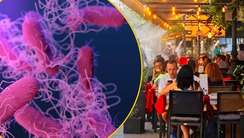 Bakterie kontra upał – niewidoczne zagrożenie lata /Shutterstock