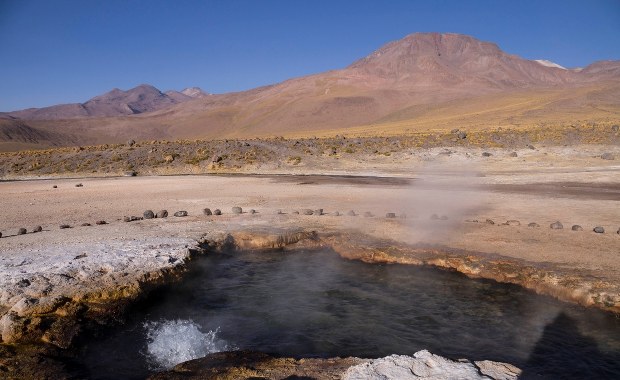 Bakterie mogą podróżować tysiące kilometrów. Same...