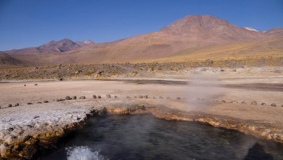 Bakterie mogą podróżować tysiące kilometrów. Same...