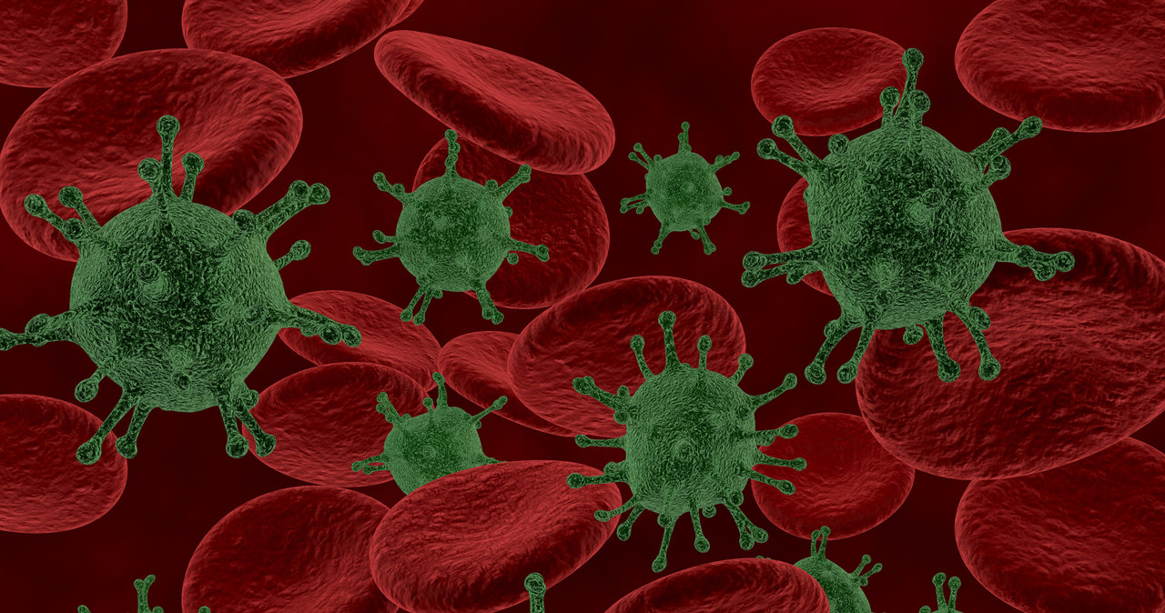 Bakterie pomagają w immunoterapii nowotworów /© Glowimages