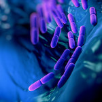 Bakterie sprzyjają zakażeniom HIV