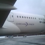 Balcerzak: Dreamlinery PLL LOT są bezpieczne