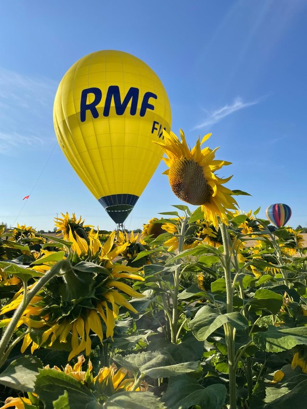 Balon RMF FM /Marek Michalec / Pilot balonu RMF FM /RMF FM