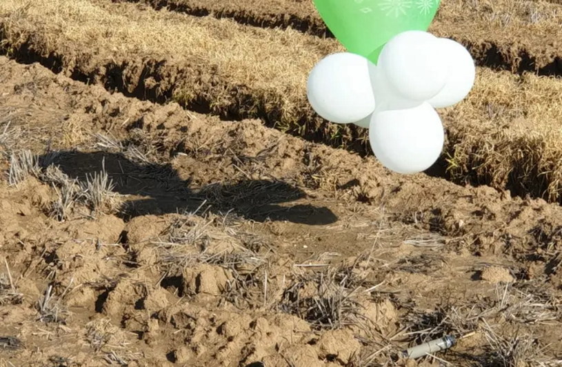 Balony z materiałem wybuchowym, które wylądowały w okolicy Shaar HaNegev /Izraelska Policja /