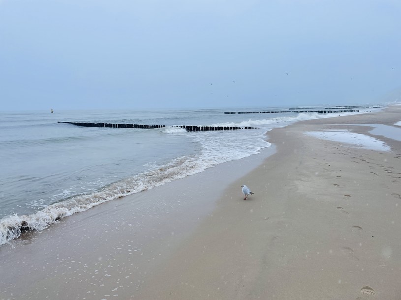 Bałtyckie plaże zachęcają do spacerów o każdej porze roku /Archiwum autora