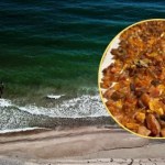 Bałtyk wyrzucił na brzeg prawdziwe skarby. Polacy ruszyli na łowy