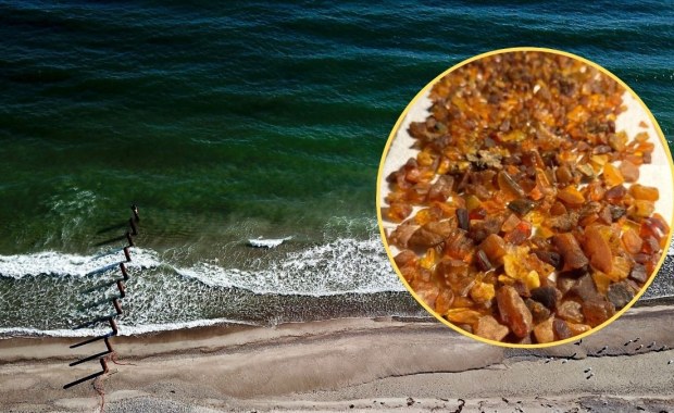 Bałtyk wyrzucił na brzeg prawdziwe skarby. Polacy ruszyli na łowy