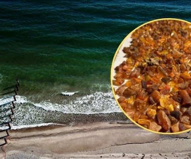 Bałtyk wyrzucił na brzeg prawdziwe skarby. Polacy ruszyli na łowy