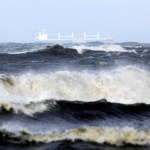 morze Bałtyk wyrzucił na brzeg tajemniczego giganta. Kilka metrów długości