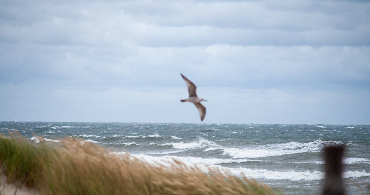 Bałtyk, zdjęcie ilustracyjne /HUBERT BIERNDGARSKI/ /Reporter