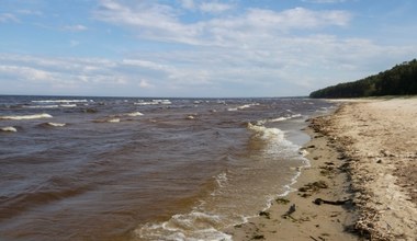Bałtyk zmienia się na naszych oczach. Prognozy są niepokojące