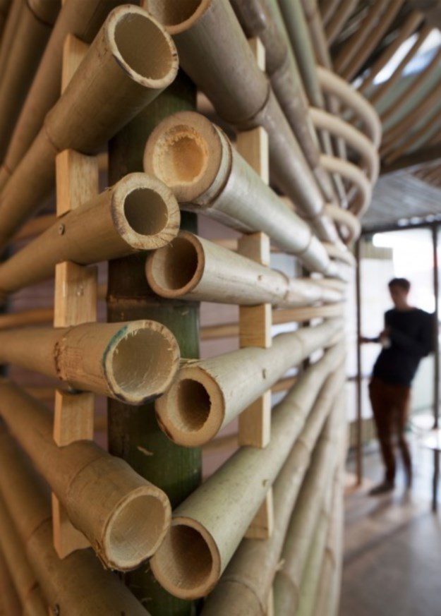 Bambusowe domki powstaną wewnątrz większych kompleksów (Fot. AFFECT-T) /materiały prasowe