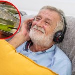 dźwięki Banan i błoto zamiast miedzianego kabla. Audiofile dali się nabrać