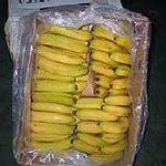 Bananowa wojna
