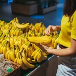 Banany, jakie znaliśmy, wkrótce znikną ze sklepów? Winny agresywny grzyb