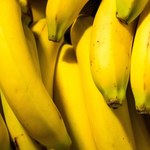 Banany znikną z naszego menu?