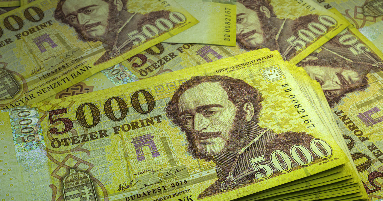 Bank centralny na Węgrzech zdecydował o obniżce stóp procentowych /123RF/PICSEL