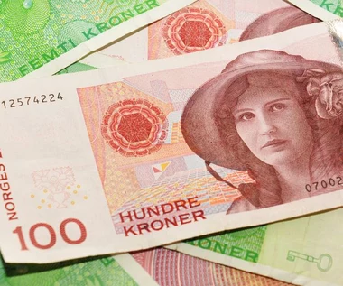 Bank centralny Norwegii podwyższył stopy procentowe