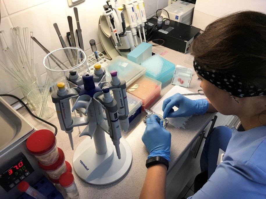 Bank komórek zwierząt /Bartek Paulus /RMF FM