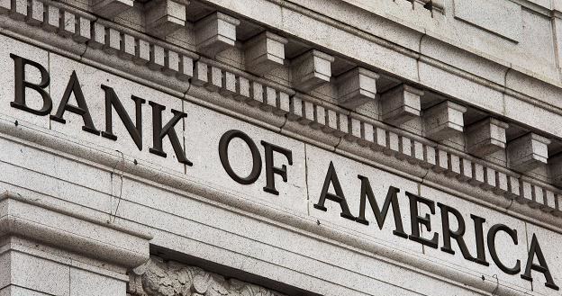 Bank of America - największy bank na świecie /AFP