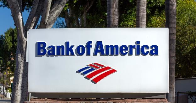 Bank of America obniżyl prognozę wzrostu polskiego PKB do 3,3 proc. /&copy;123RF/PICSEL