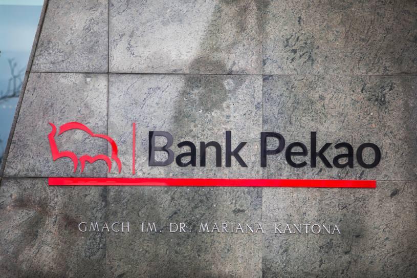 Bank Pekao sprzedaje Xelion /Adam Burakowski /Reporter