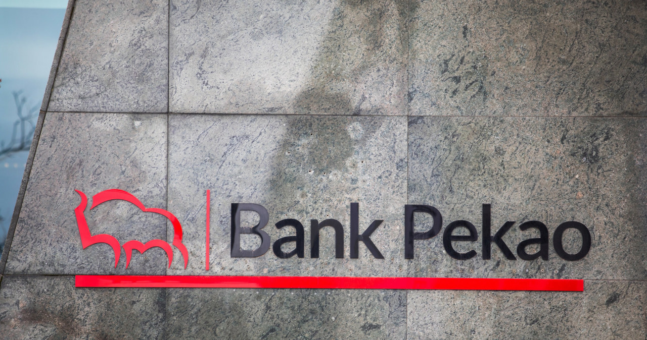 Bank Pekao sprzedaje Xelion /Adam Burakowski /Reporter