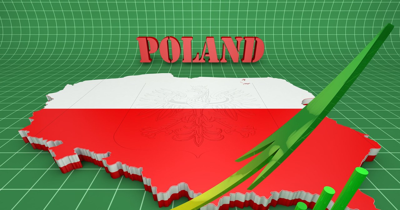Bank Światowy: Polska gospodarka w 2022 r. przyspieszy do 4,2 proc. /123RF/PICSEL