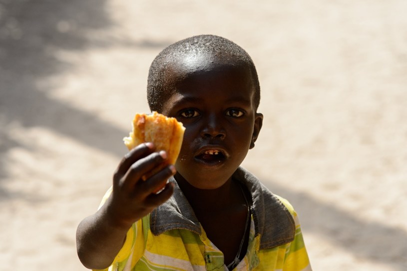 Bank Światowy przeznaczy wielkie sumy na walkę z głodem w Afryce. Zdj. ilustracyjne /123RF/PICSEL