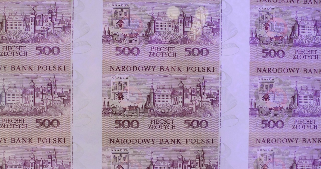 Banknoty z serii "Miasta Polskie" /Jacek Łagowski /Agencja FORUM