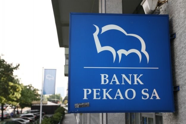 Bankowi z żubrem w logo depczą po piętach DB PBC i Nordea. Fot. Marek Kudelski /Agencja SE/East News