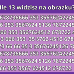 Bardzo trudny test na spostrzegawczość: Tylko sokole oko odnajdzie wszystkie "13"