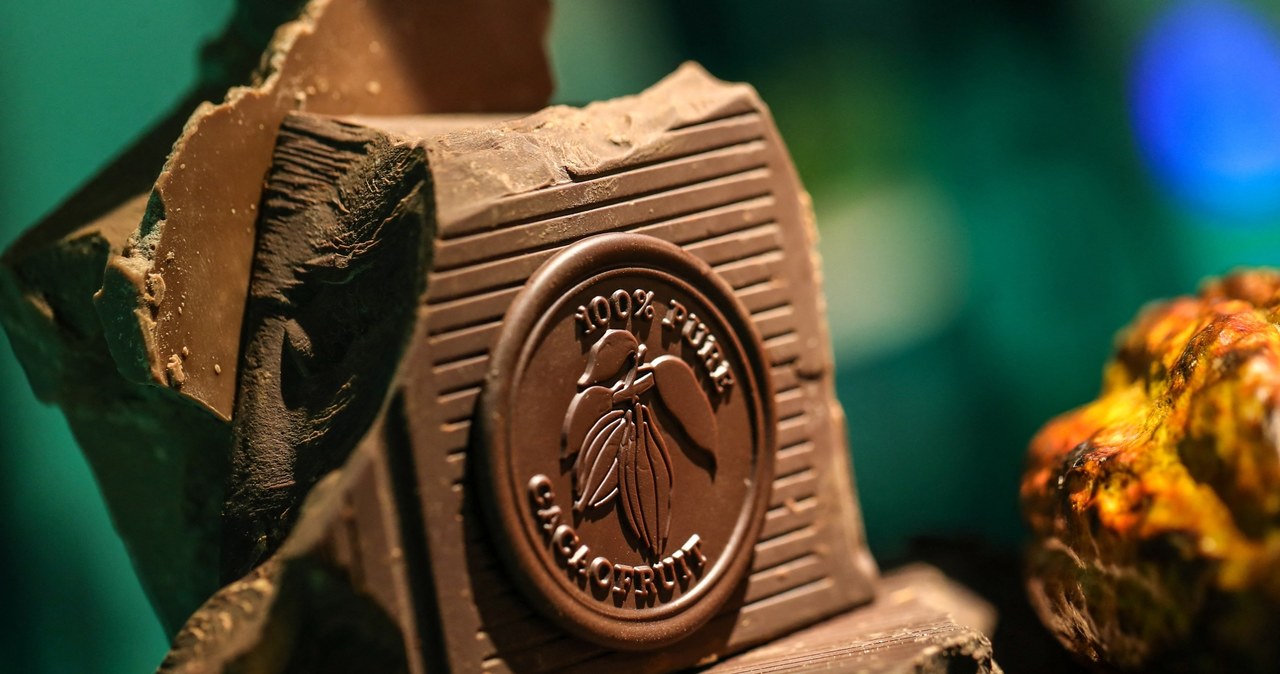 Barry Callebaut, jeden z największych producentów czekolady, będzie redukować zatrudnienie /HANDOUT / Barry CALLEBAUT / AFP /AFP