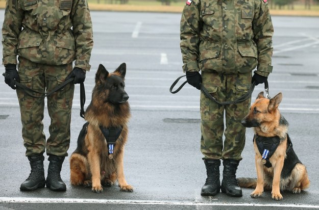 Barry i Bianka brali udział w misji w Afganistanie/ Zdj. archiwalne /Tomasz Gzell /PAP