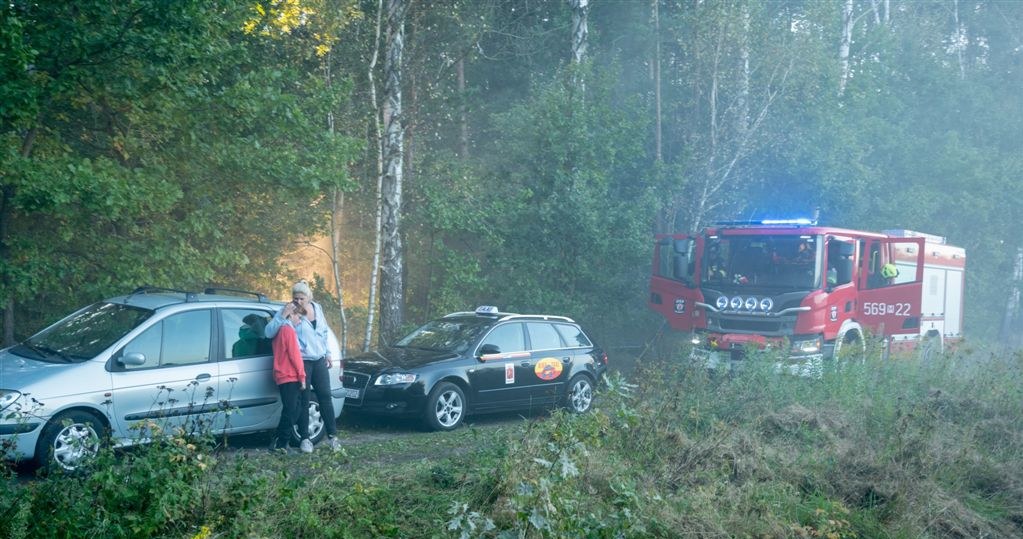 "Barwy szczęścia" /Agencja W. Impact