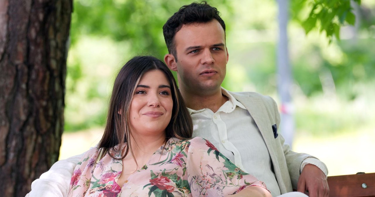 "Barwy szczęścia" /Źródło: AIM