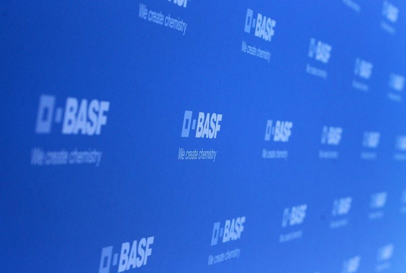 BASF ma w Polsce największy zakład produkcji katalizatorów /AFP