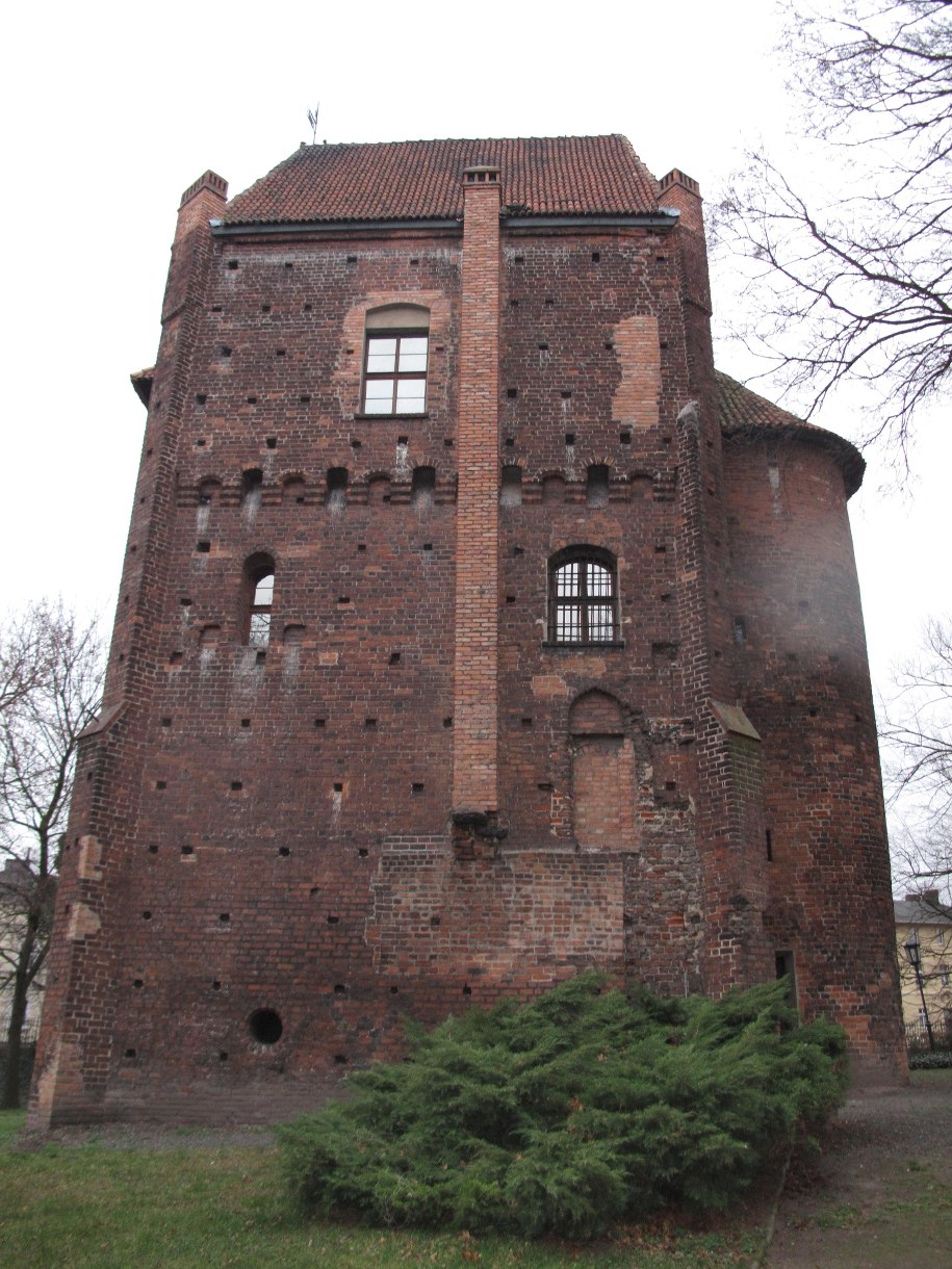 Baszta Halszki /Adam Górczewski /RMF FM