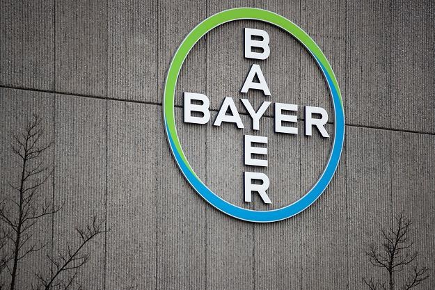 Bayer przegrywa przed sądem w sprawie glifosatu /fot. Odd Andersen /AFP